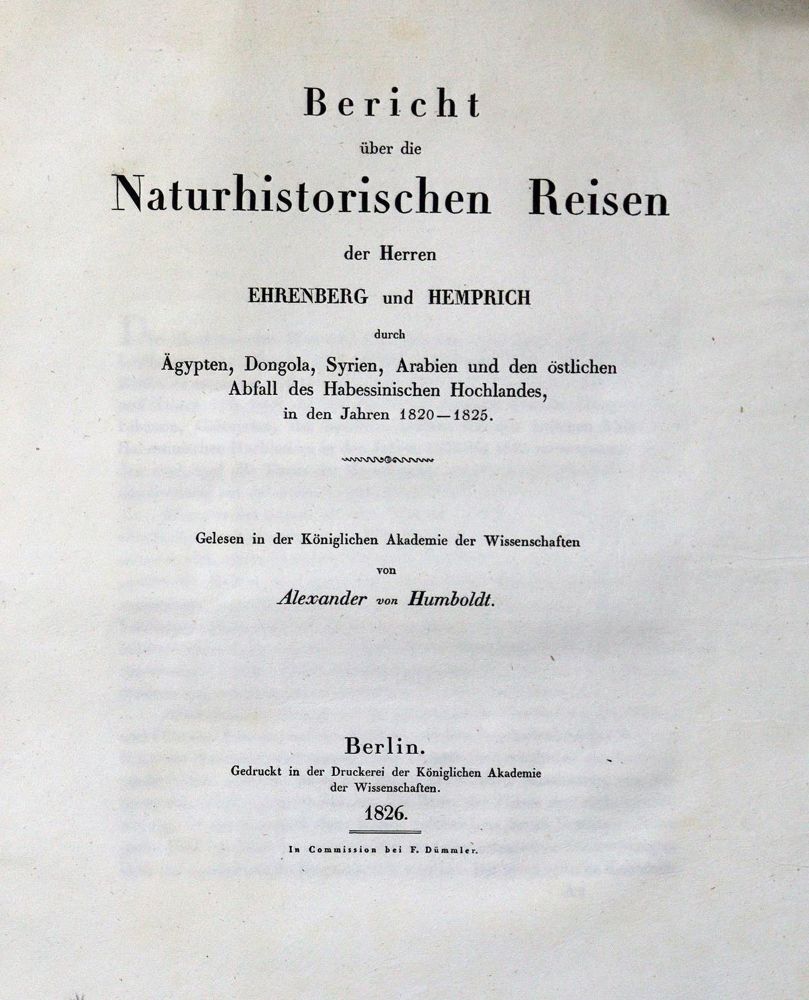 Große Abbildung Nr.1: 128-2067 Humboldt,A.v.: (Verschiedene Gebiete - Varia)