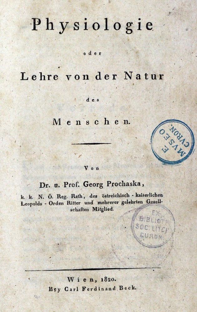Große Abbildung Nr.31: 128-210 Physiologie.: (ZZRückgänge Sgl. Prof. Büttner Teil 1 und 2)