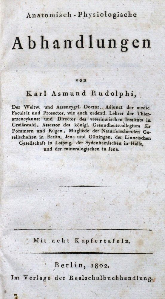 Große Abbildung Nr.1: 128-215 Rudolphi,K.A.: (ZZRückgänge Sgl. Prof. Büttner Teil 1 und 2)