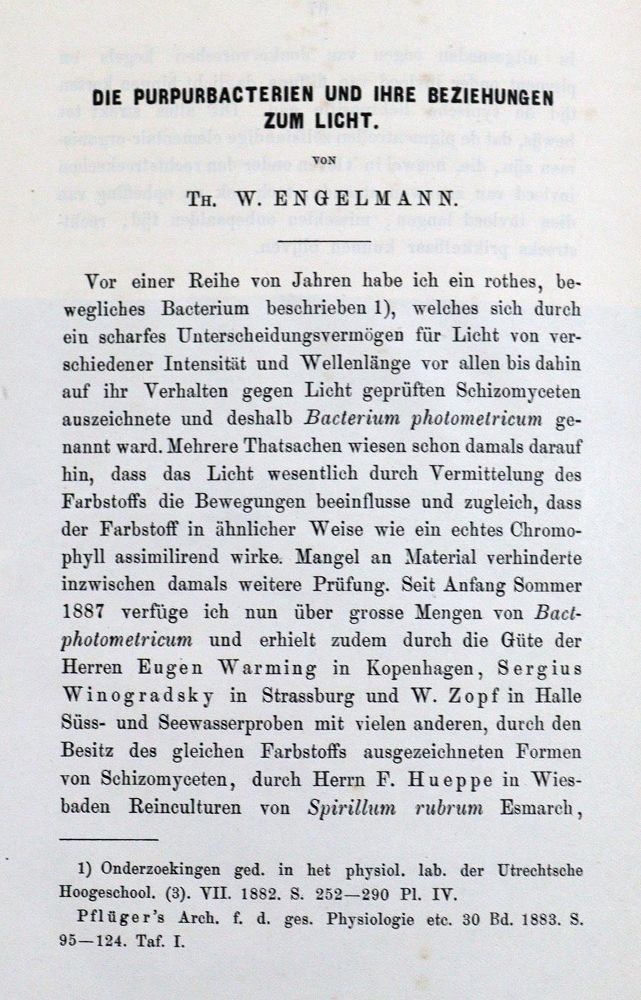 Große Abbildung Nr.5: 128-217 Sammlung: (ZZRückgänge Sgl. Prof. Büttner Teil 1 und 2)