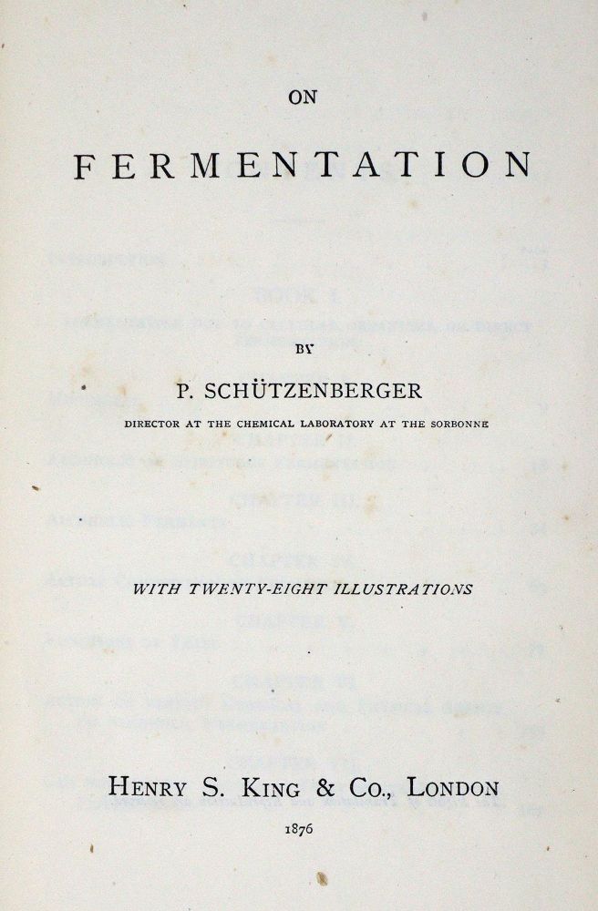 Große Abbildung Nr.1: 128-226 Schützenberger,P.: (ZZRückgänge Sgl. Prof. Büttner Teil 1 und 2)