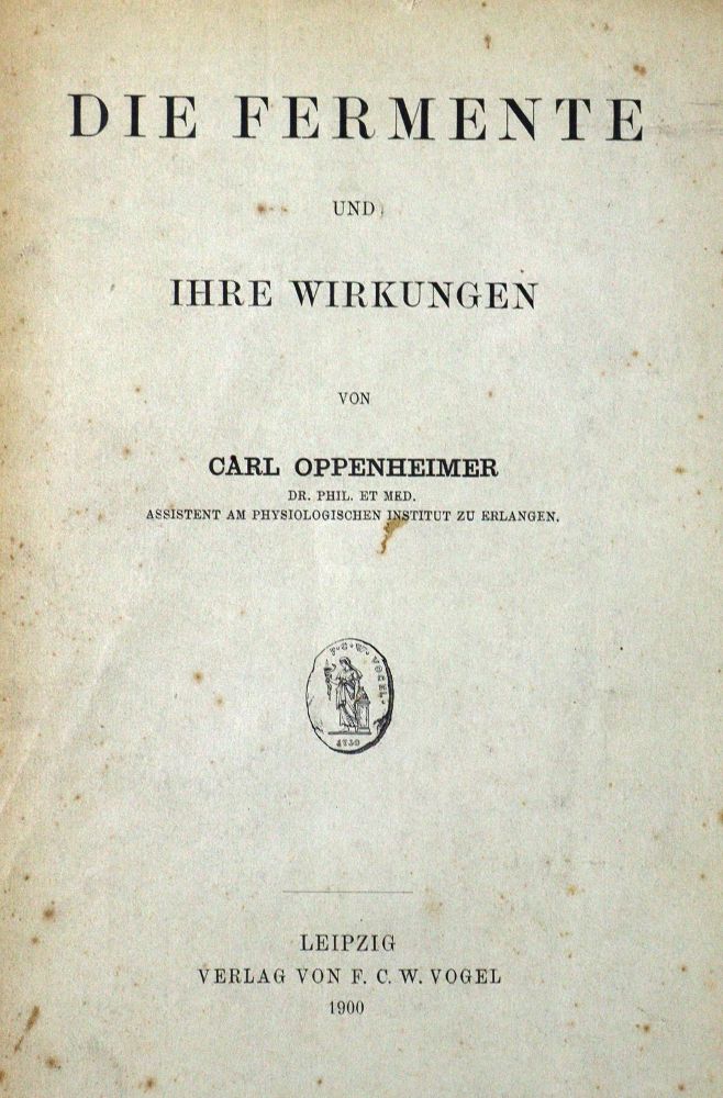 Große Abbildung Nr.2: 128-226 Schützenberger,P.: (ZZRückgänge Sgl. Prof. Büttner Teil 1 und 2)