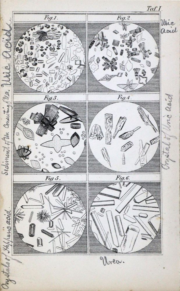 Große Abbildung Nr.4: 128-242 Whewell,W.: (ZZRückgänge Sgl. Prof. Büttner Teil 1 und 2)