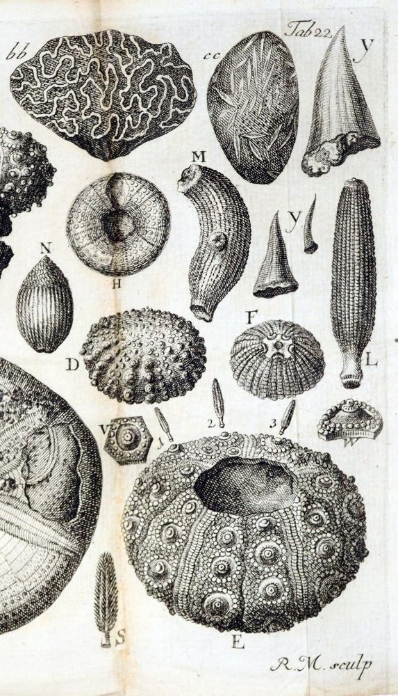 Große Abbildung Nr.2: 128-2462 Sammlung: (Schweiz)