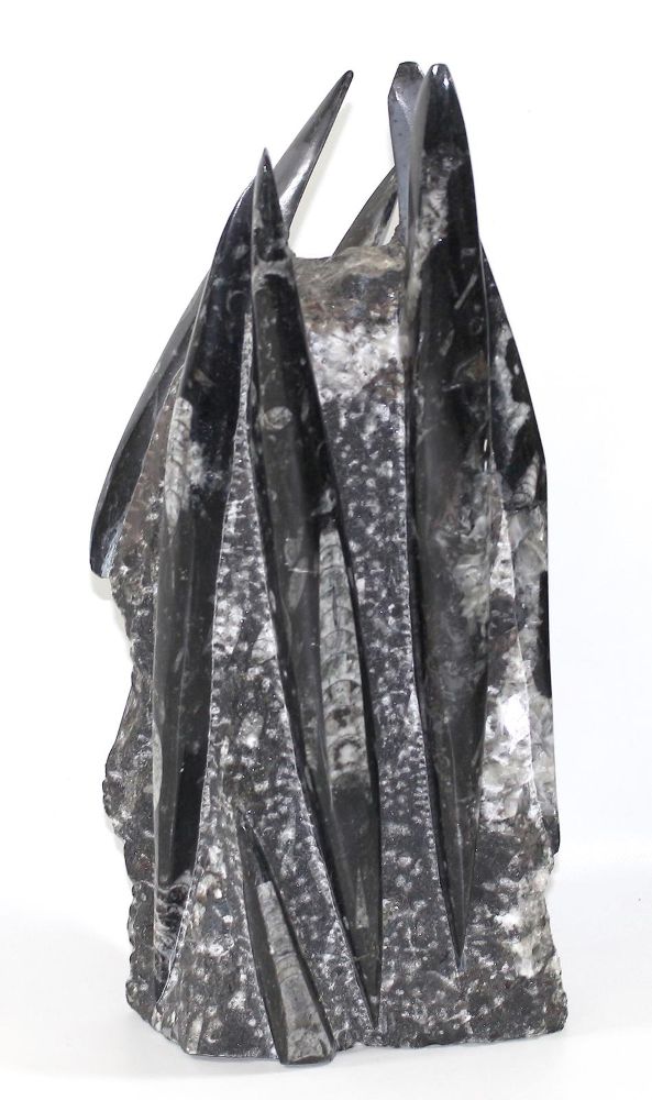 Große Abbildung Nr.1: 128-2708 Orthoceras Fossilienturm.: (Varia)