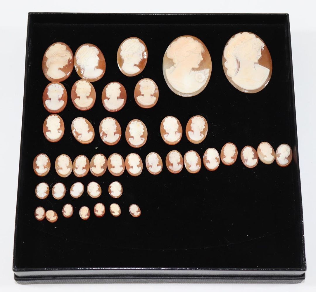 Große Abbildung Nr.2: 128-3076 Muschelgemmen zur: (Schmuck, Schmucksteine)