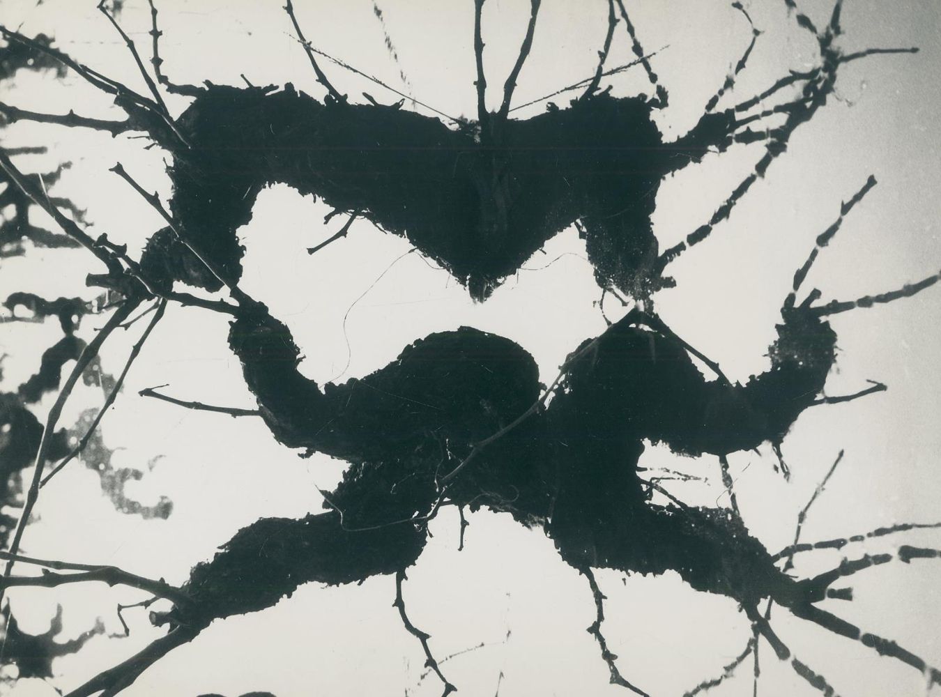 Große Abbildung Nr.2: 128-3207 Clergue, Lucien: (Photographie)