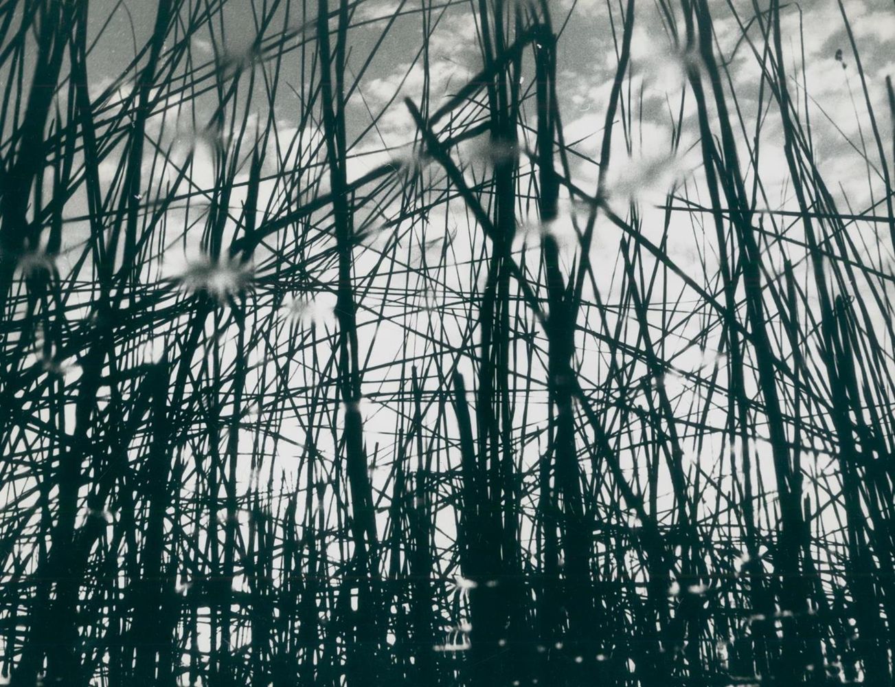 Große Abbildung Nr.1: 128-3208 Clergue, Lucien: (Photographie)
