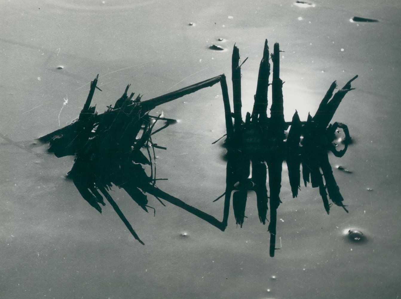 Große Abbildung Nr.2: 128-3209 Clergue, Lucien: (Photographie)