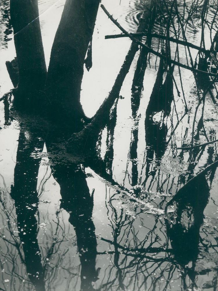 Große Abbildung Nr.2: 128-3210 Clergue, Lucien: (Photographie)