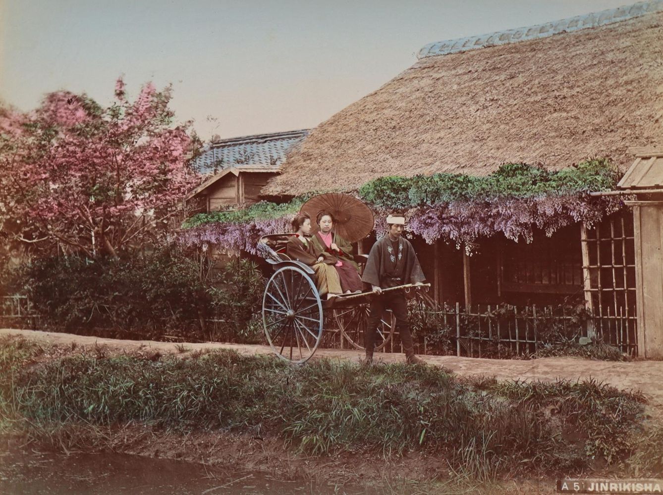 Große Abbildung Nr.4: 128-3230 Japan.: (Japan)