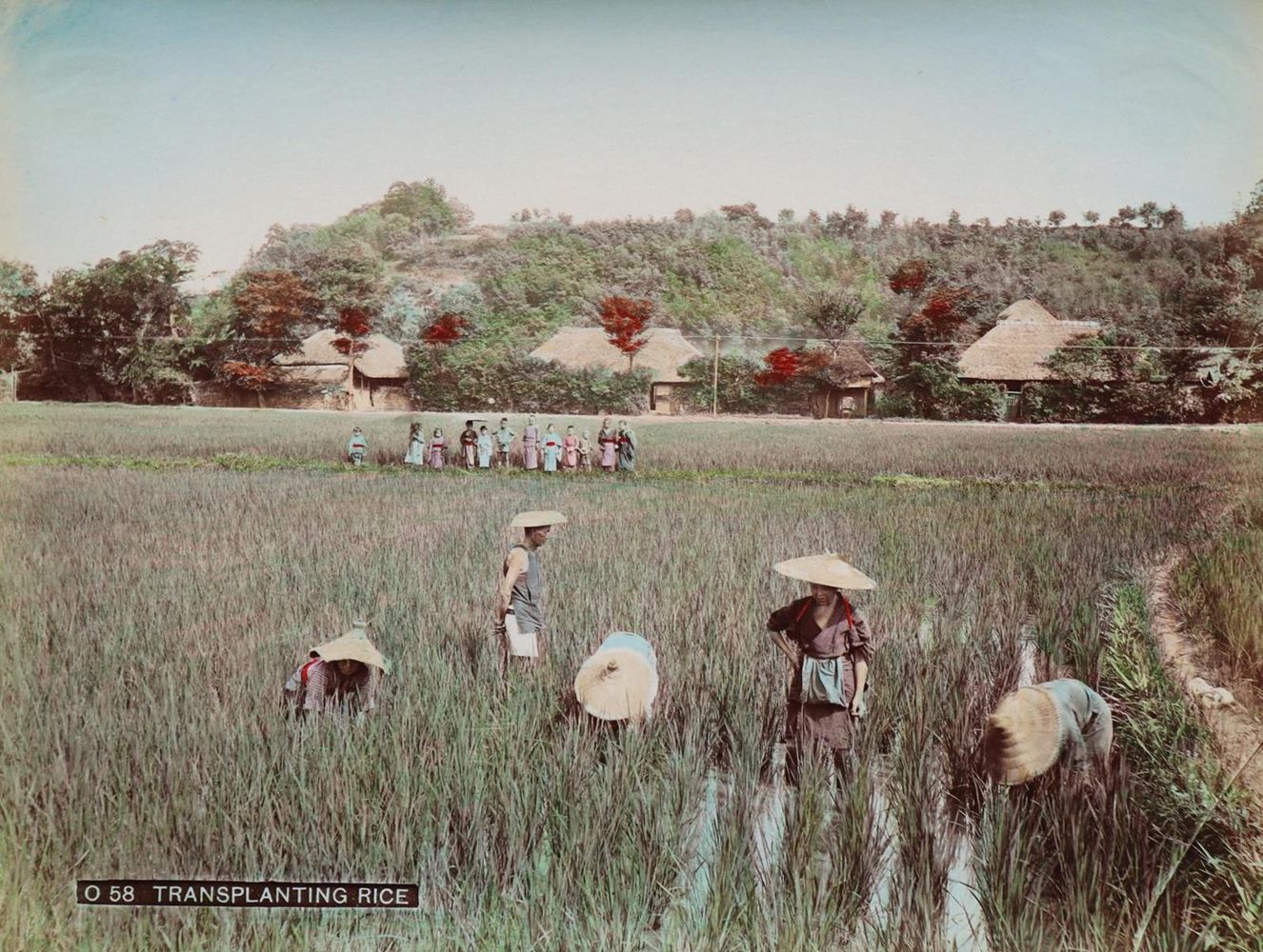 Große Abbildung Nr.5: 128-3230 Japan.: (Japan)