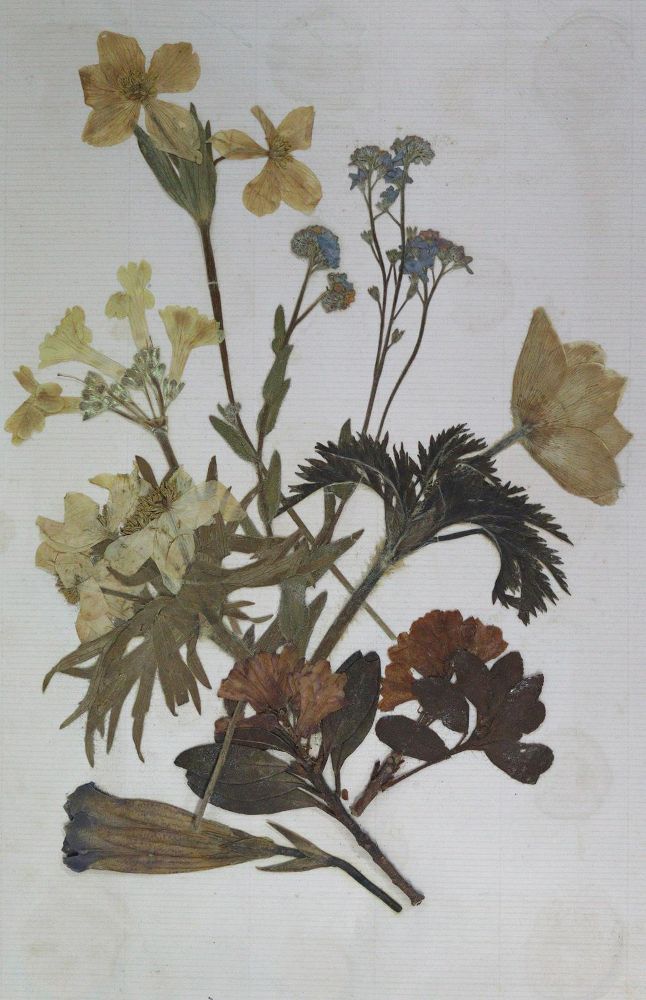 Große Abbildung Nr.1: 128-3240 Photoalbum: (Photographie)