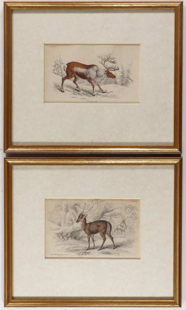 Große Abbildung Nr.3: 128-3299 Hirschjagd.: (Varia, Jagd)