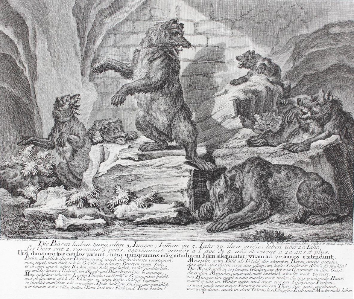 Große Abbildung Nr.1: 128-3301 Bären.: (Varia, Jagd, Ridinger)