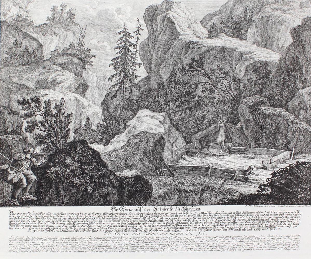 Große Abbildung Nr.1: 128-3306 Gamsjagd.: (Varia, Jagd, Ridinger)