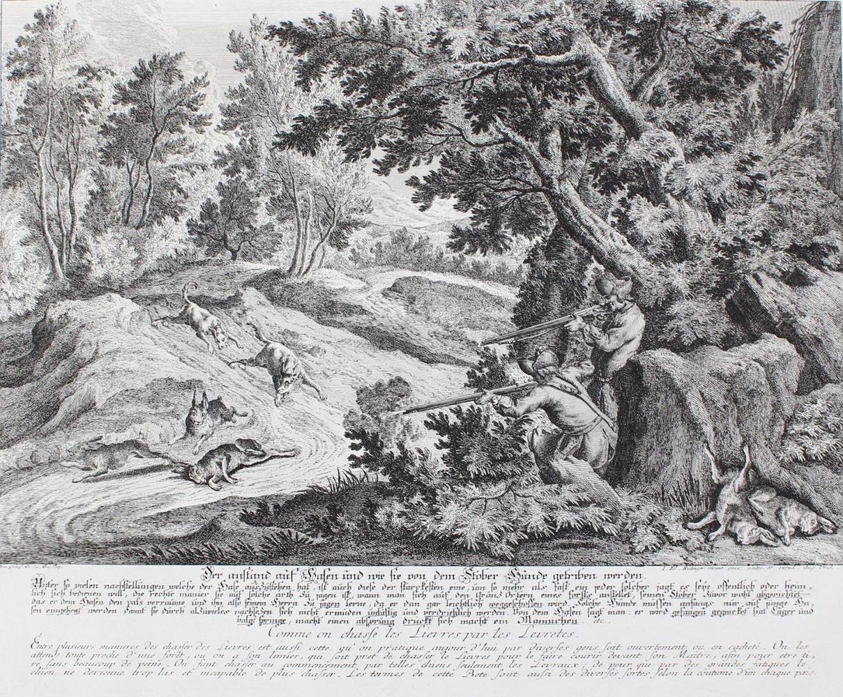 Große Abbildung Nr.11: 128-3308 Hasenjagd.: (Varia, Jagd, Ridinger)