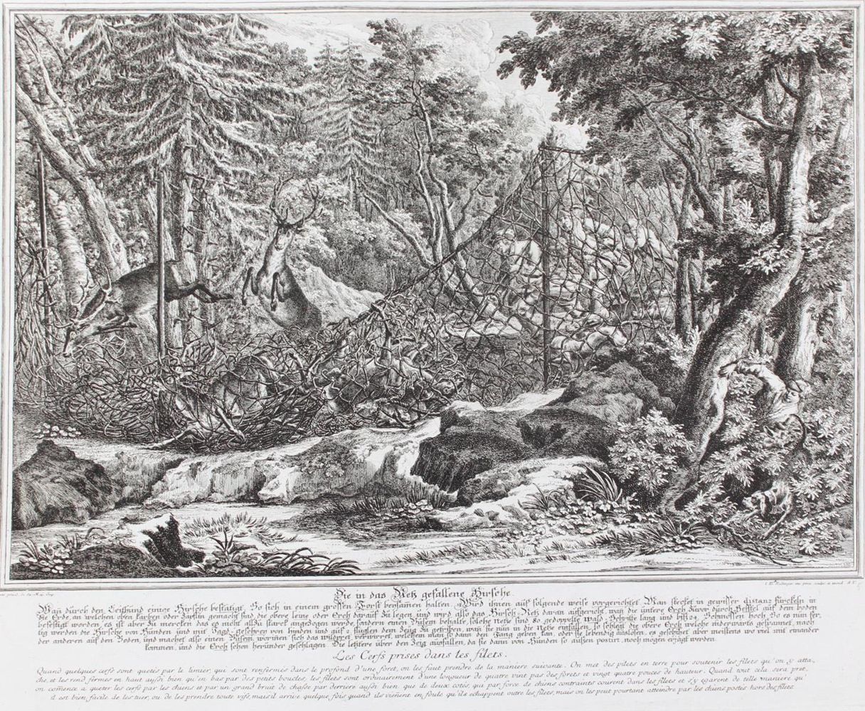 Große Abbildung Nr.21: 128-3309 Hirsch.: (Varia, Jagd, Ridinger)