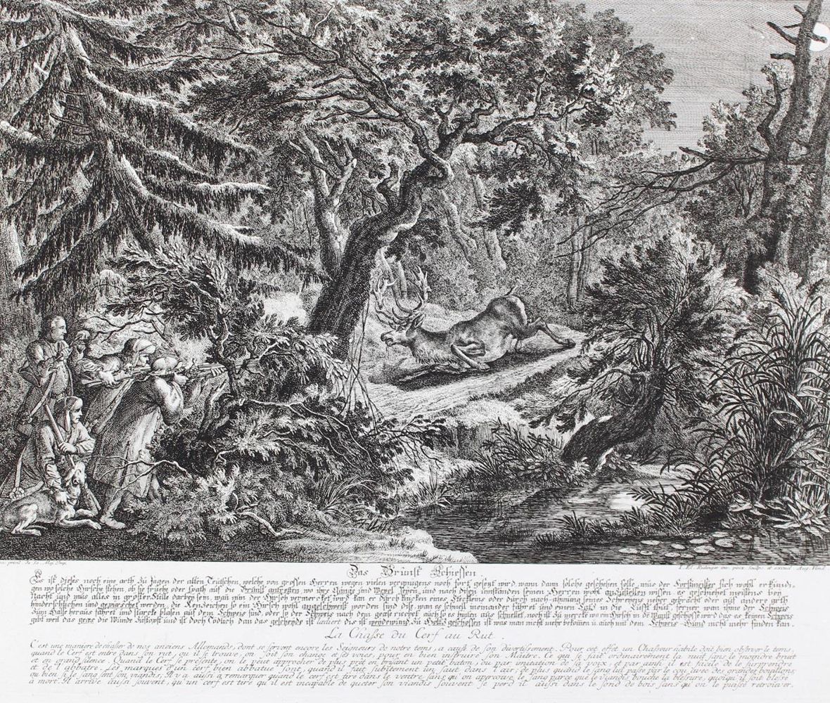 Große Abbildung Nr.91: 128-3309 Hirsch.: (Varia, Jagd, Ridinger)