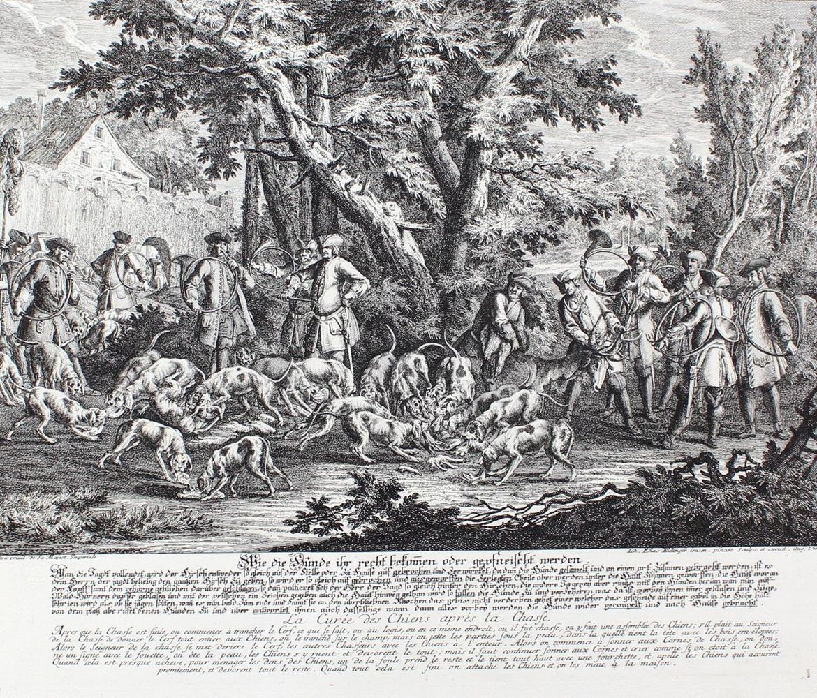 Große Abbildung Nr.21: 128-3310 Hunde.: (Varia, Jagd, Ridinger)