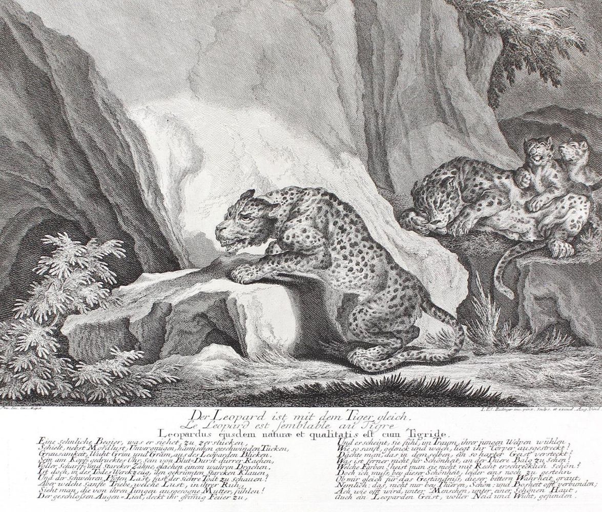 Große Abbildung Nr.1: 128-3312 Leoparden.: (Varia, Jagd, Ridinger)