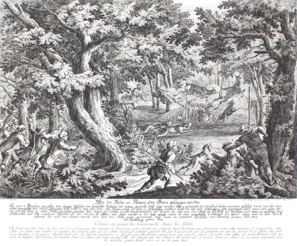 Große Abbildung Nr.31: 128-3316 Rotwild/Rotwildjagd.: (Varia, Jagd, Ridinger)