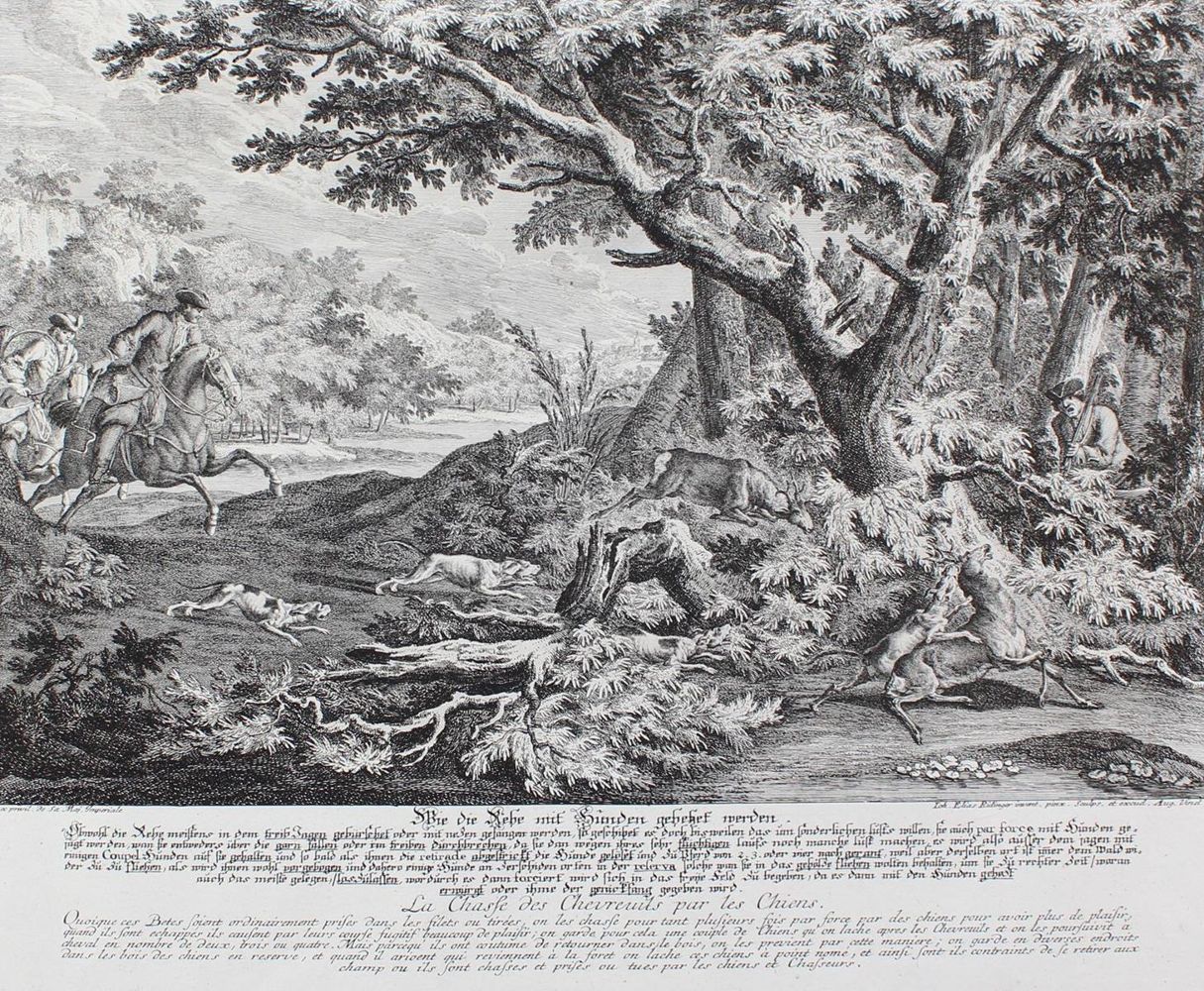Große Abbildung Nr.51: 128-3316 Rotwild/Rotwildjagd.: (Varia, Jagd, Ridinger)