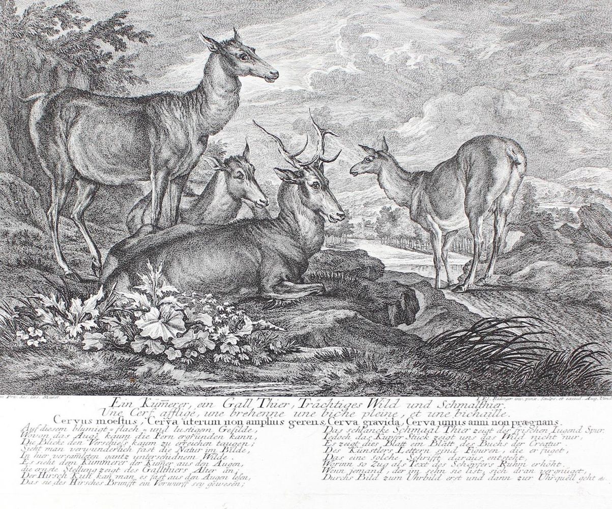 Große Abbildung Nr.1: 128-3323 Wildtiere.: (Varia, Jagd, Ridinger)