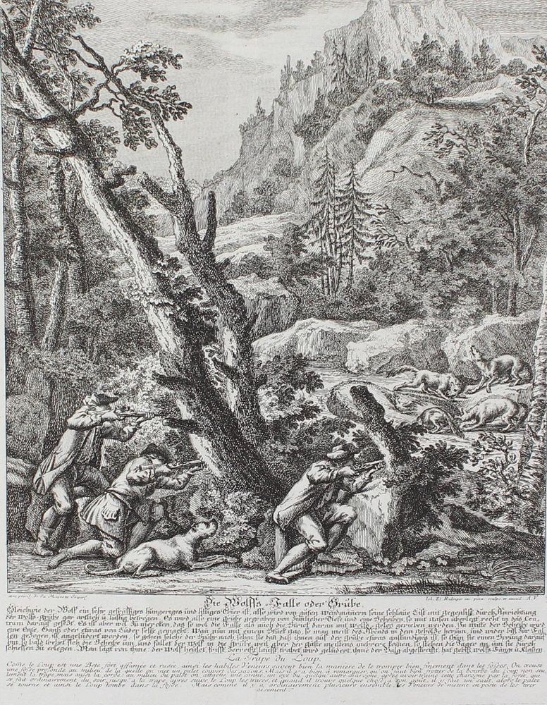 Große Abbildung Nr.1: 128-3324 Wolfsjagd.: (Varia, Jagd, Ridinger)