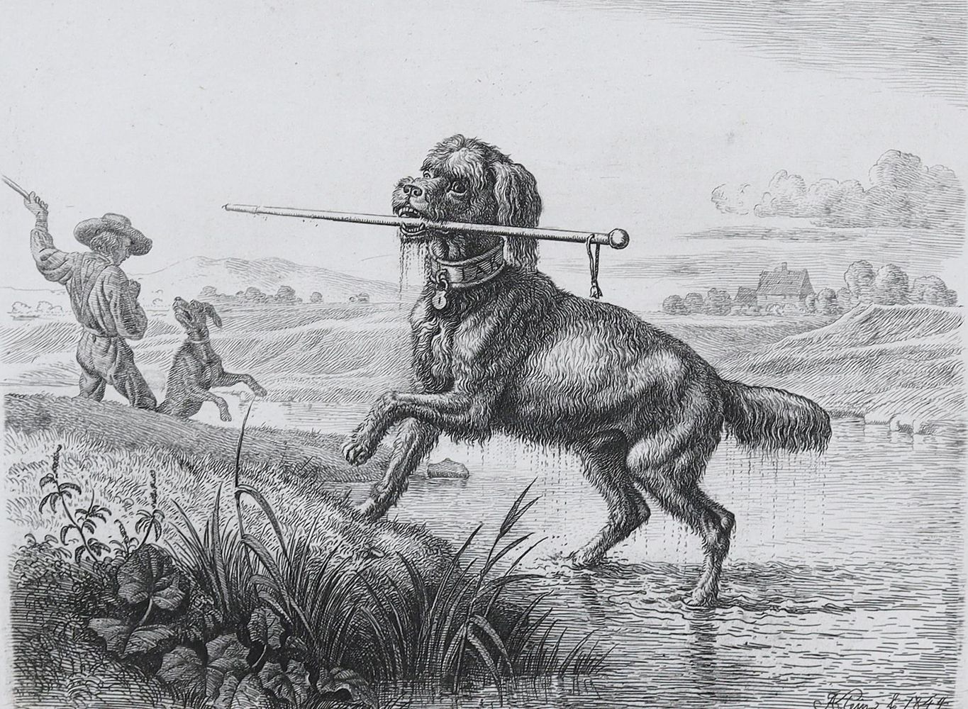 Große Abbildung Nr.4: 128-3396 Hunde.: (Varia, Zoologie)