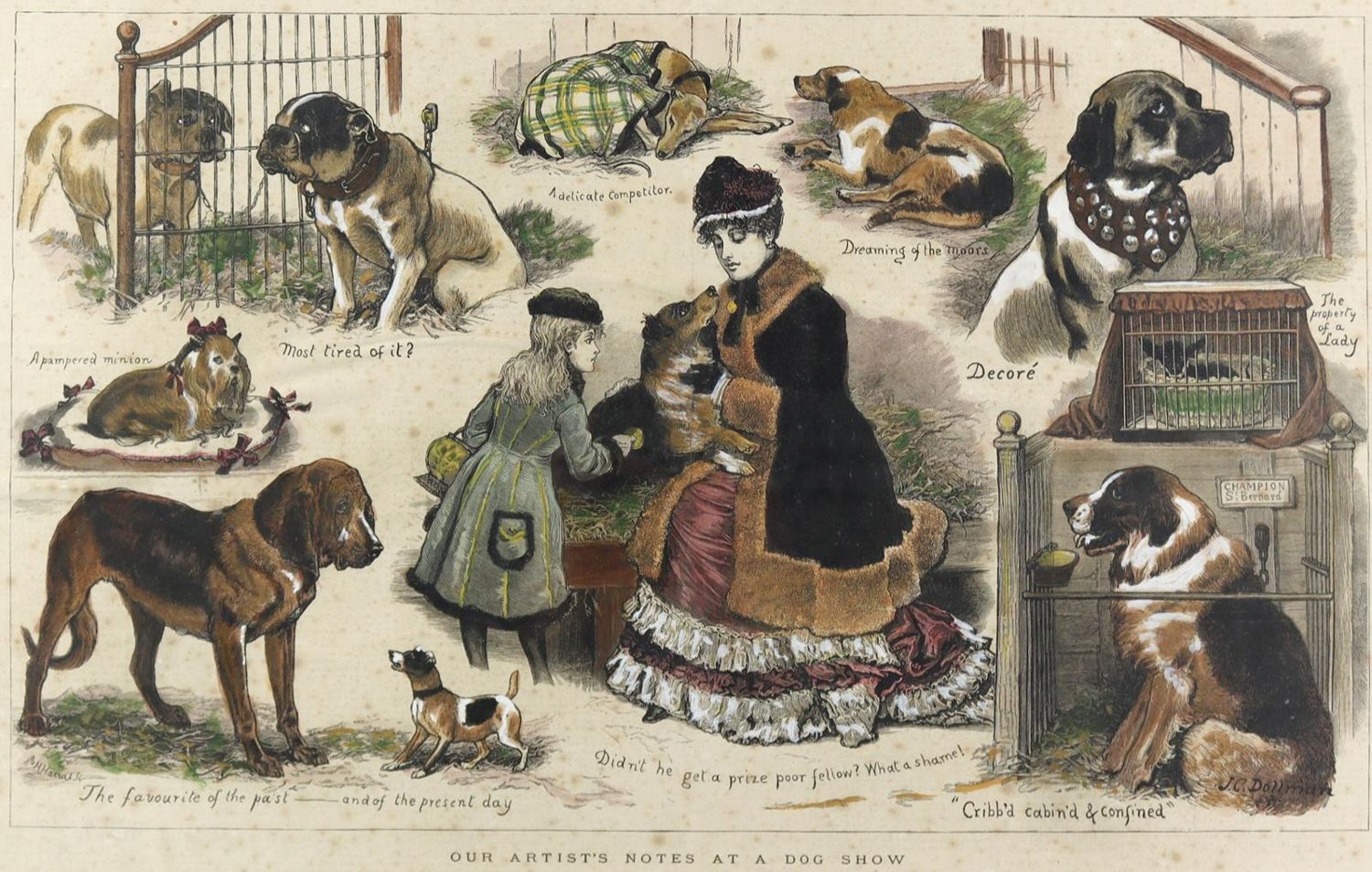 Große Abbildung Nr.51: 128-3396 Hunde.: (Varia, Zoologie)