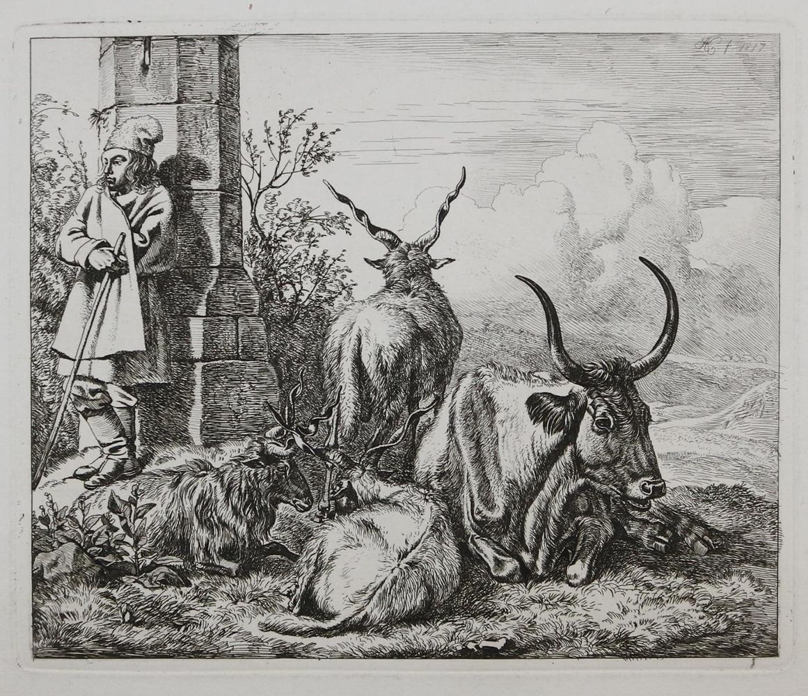 Große Abbildung Nr.1: 128-3403 Verschiedene Tiere.: (Varia, Zoologie)