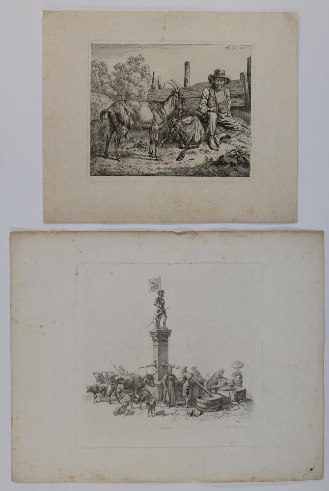 Große Abbildung Nr.3: 128-3403 Verschiedene Tiere.: (Varia, Zoologie)