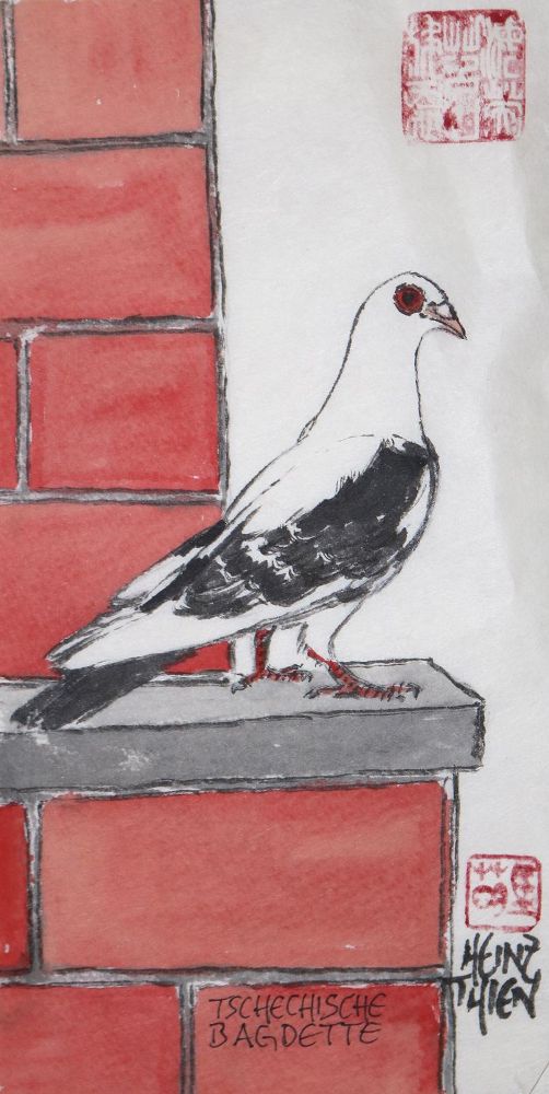 Große Abbildung Nr.7: 128-3407 Sammlung: (Varia, Zoologie, Vögel)