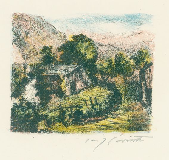 Große Abbildung Nr.1: 128-4007 Corinth,L.: (Künstlergraphik)