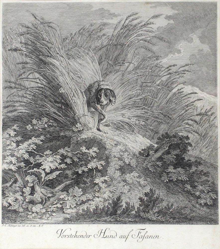 Große Abbildung Nr.2: 128-4255 Ridinger, Johann Elias: (Künstlergraphik, Jagd)