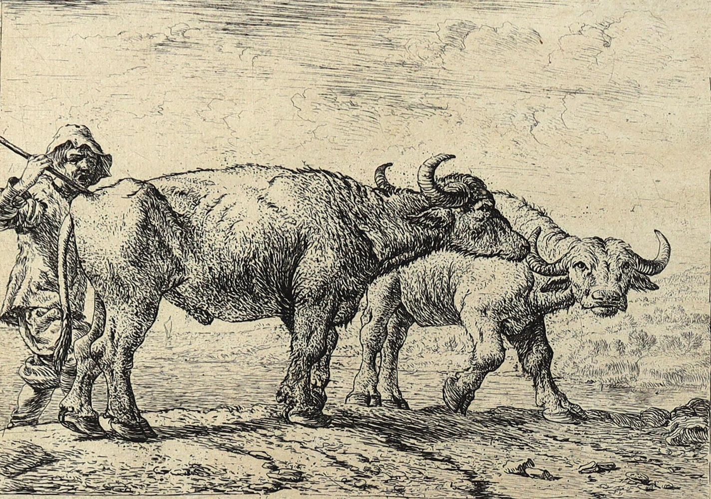 Große Abbildung Nr.2: 128-4391 Laer, Pieter van: (Künstlergraphik)