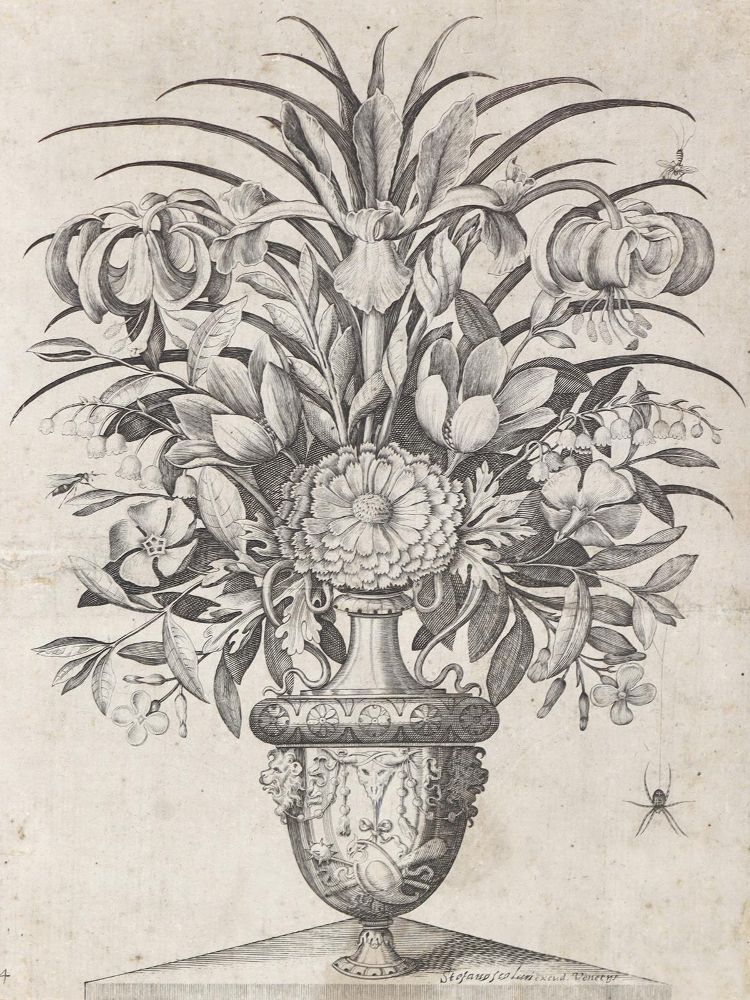 Große Abbildung Nr.2: 128-4691 Scolari, Stefano (d.i. Stefano Mozzo,: (Künstlergraphik)