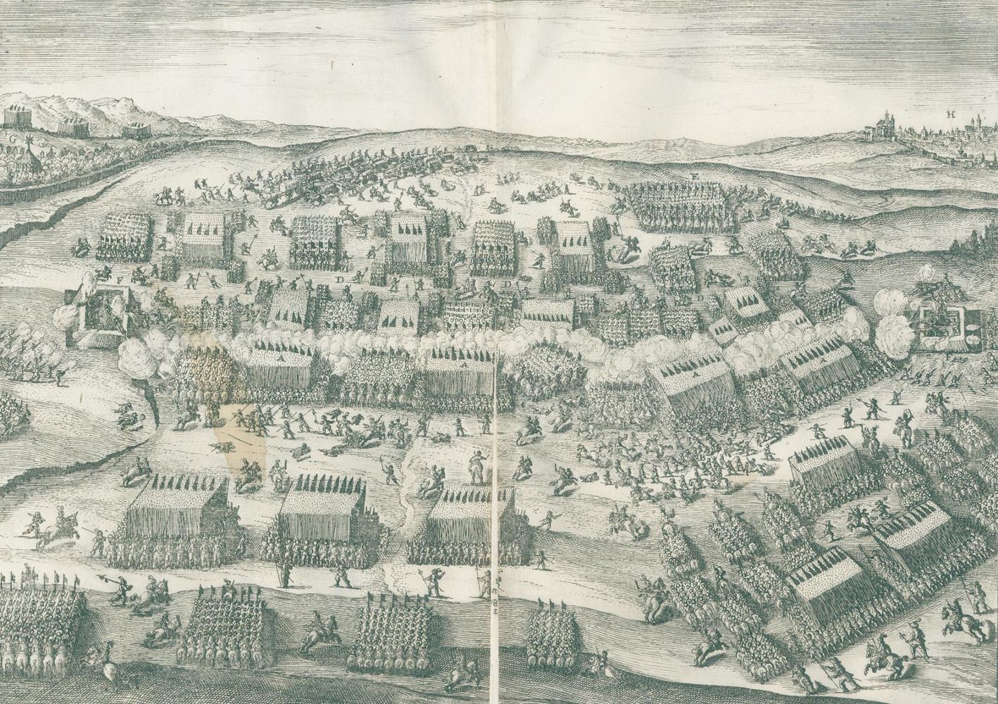 Große Abbildung Nr.2: 128-499 Merian,M.: (Merian)