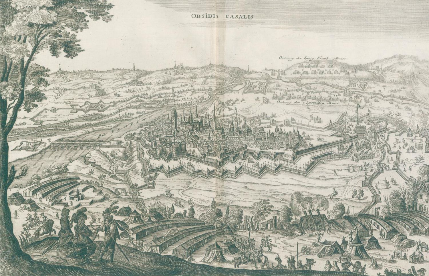 Große Abbildung Nr.1: 128-500 Merian,M.: (Merian)