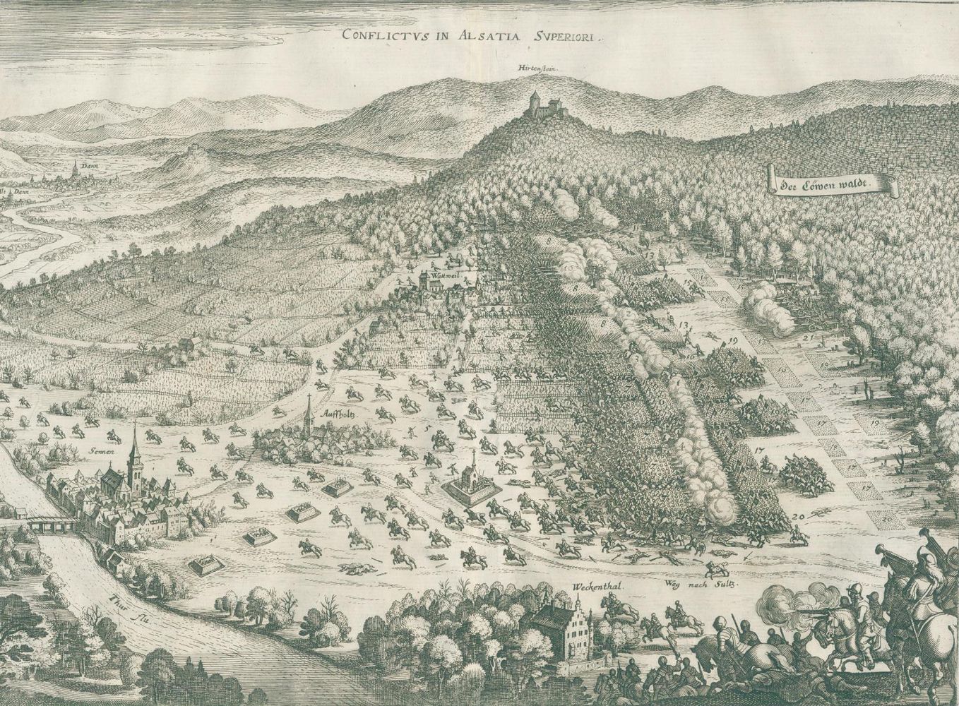 Große Abbildung Nr.1: 128-501 Merian,M.: (Merian)