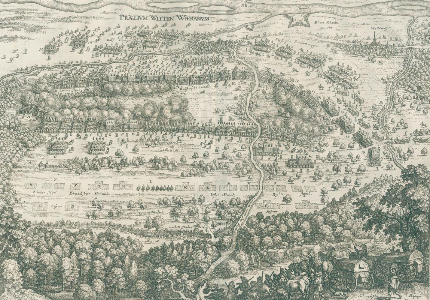 Große Abbildung Nr.2: 128-501 Merian,M.: (Merian)