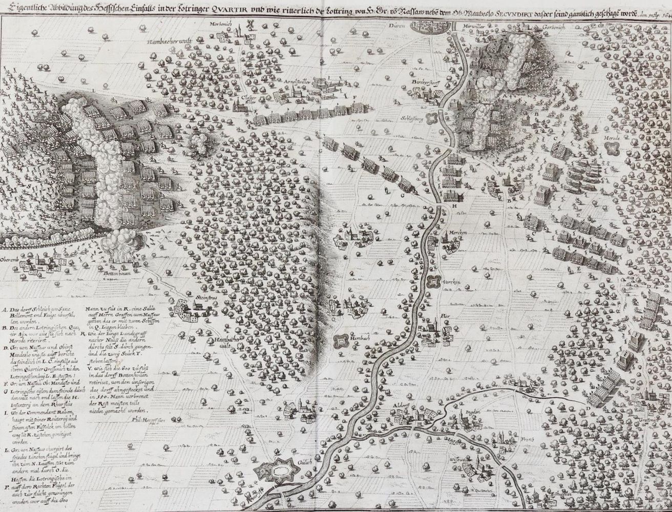 Große Abbildung Nr.2: 128-503 Merian,M.: (Merian)