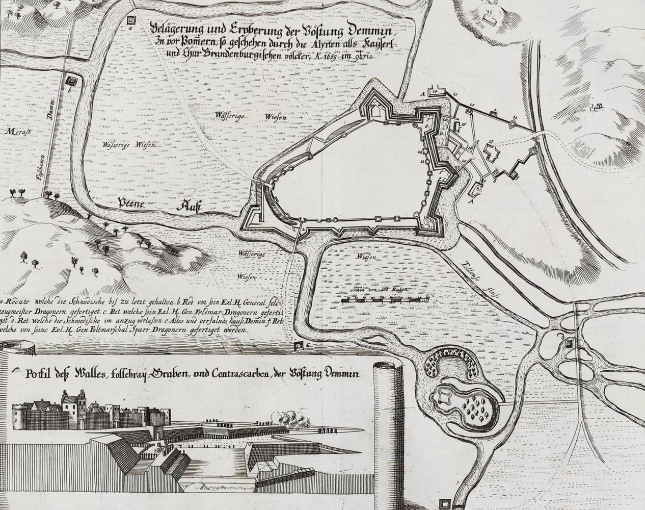 Große Abbildung Nr.1: 128-506 Merian,M.: (Merian)