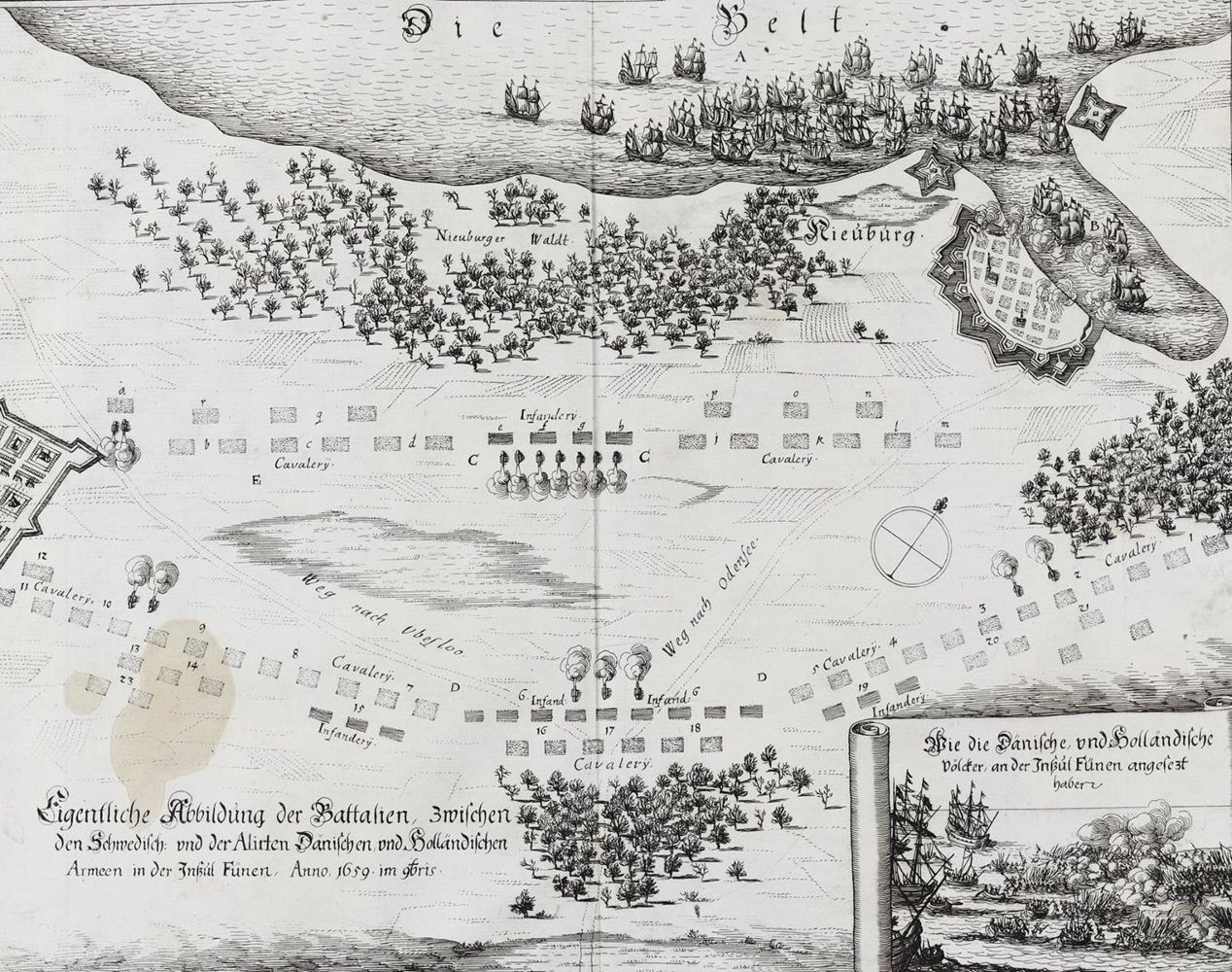 Große Abbildung Nr.2: 128-506 Merian,M.: (Merian)