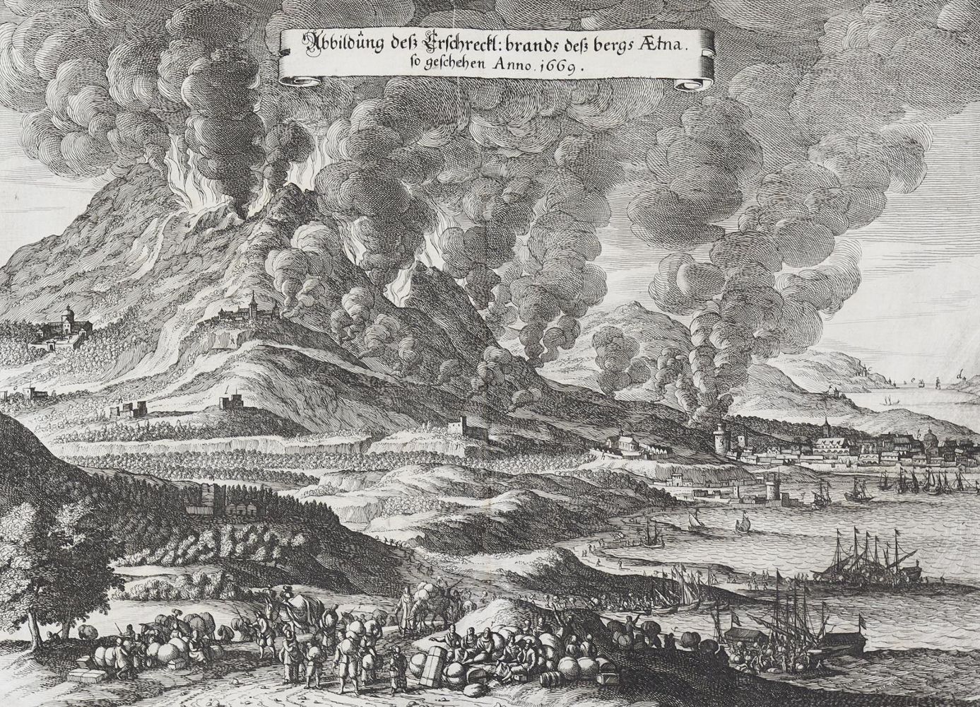 Große Abbildung Nr.2: 128-508 Merian,M.: (Merian)