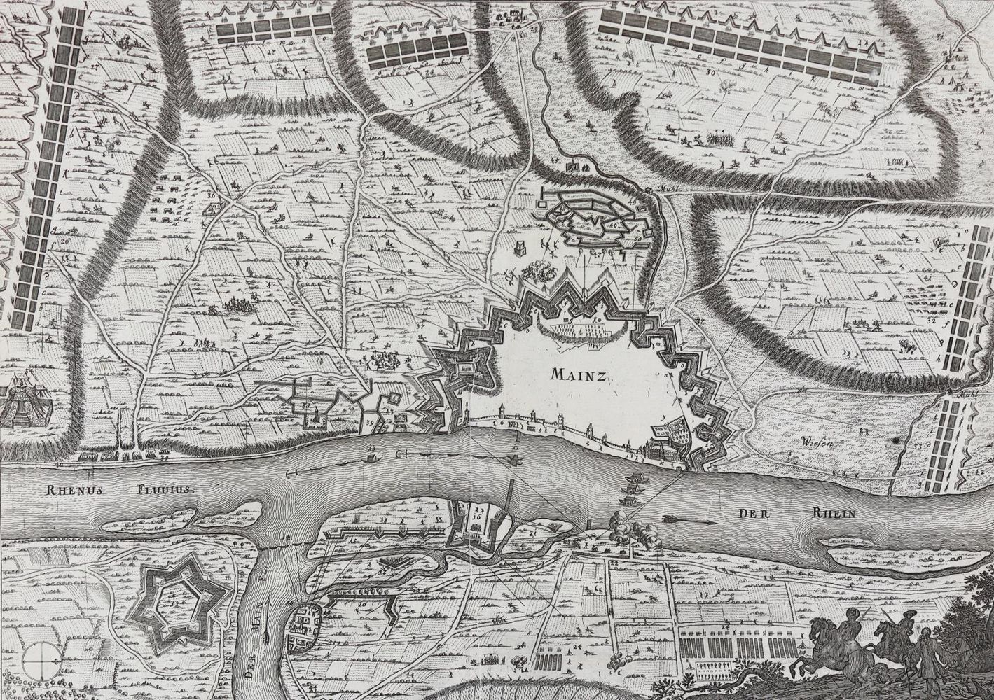 Große Abbildung Nr.1: 128-511 Merian,M.: (Merian)