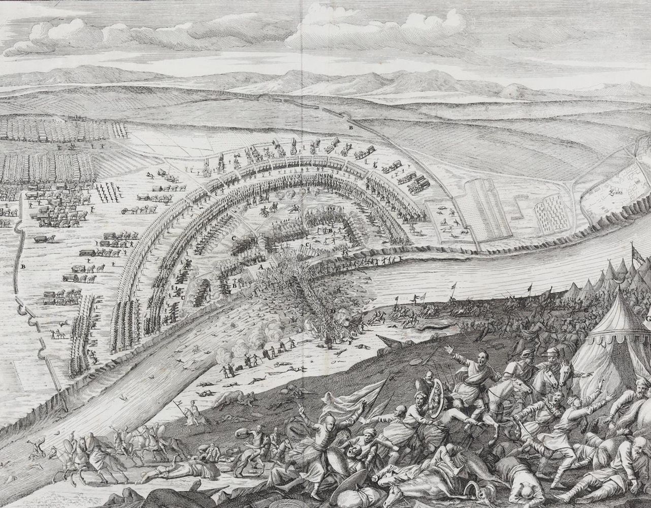 Große Abbildung Nr.1: 128-513 Merian,M.: (Merian)