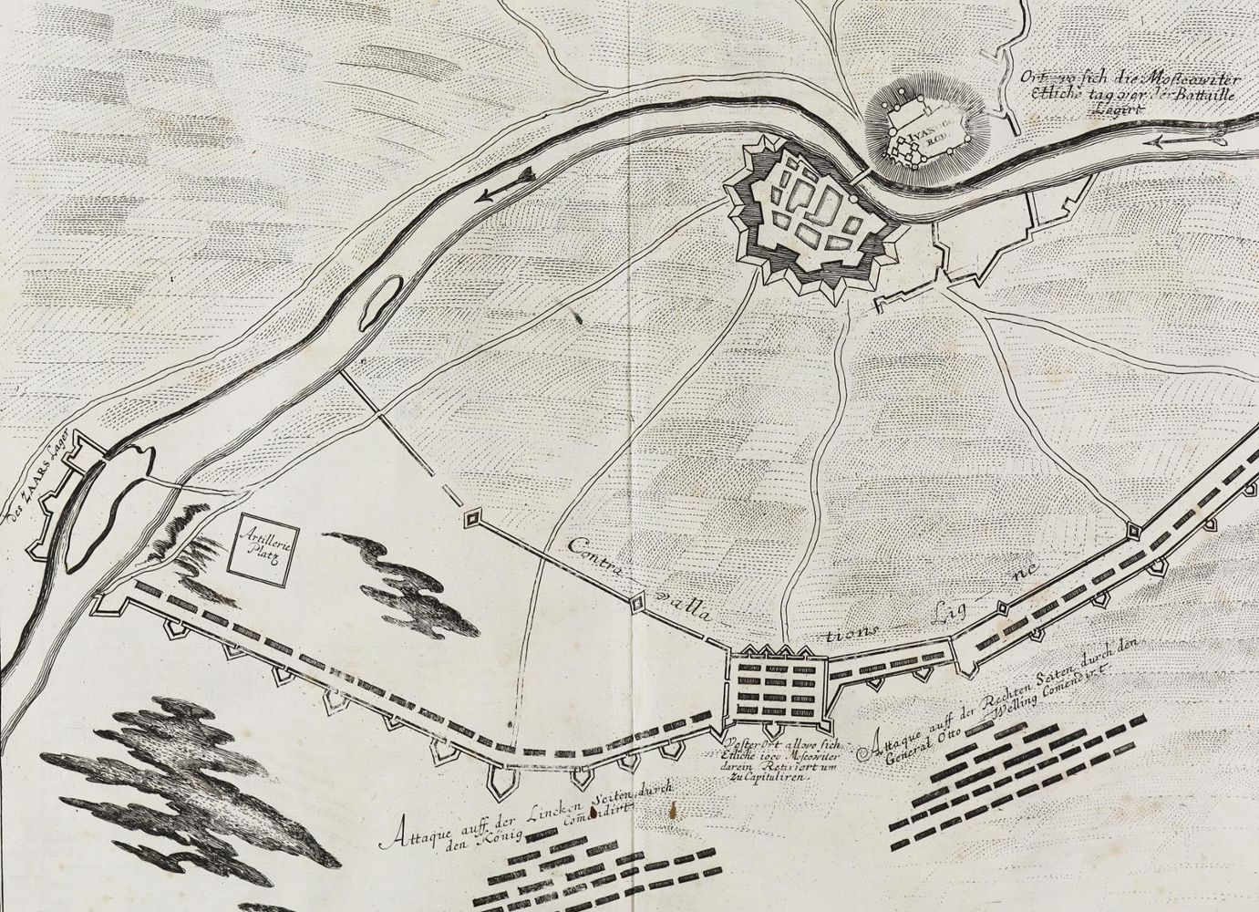 Große Abbildung Nr.2: 128-513 Merian,M.: (Merian)