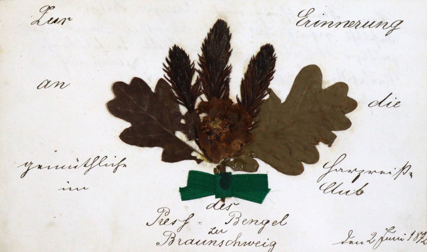 Große Abbildung Nr.3: 128-829 Album: (Stammbücher)